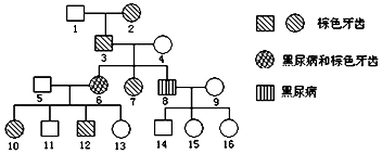 古墓奇谭2穿越死亡海 视频海报