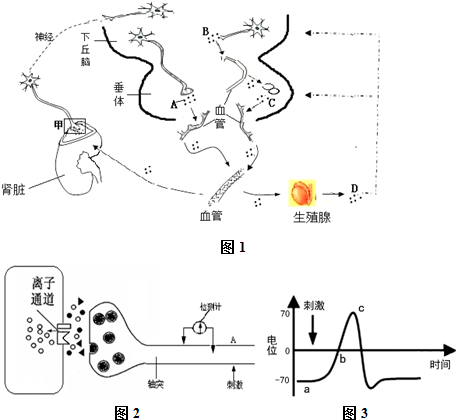 冲出逆境 视频缩略图