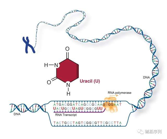 圣克莱尔 视频海报