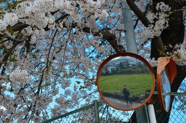 以毒攻毒 视频缩略图