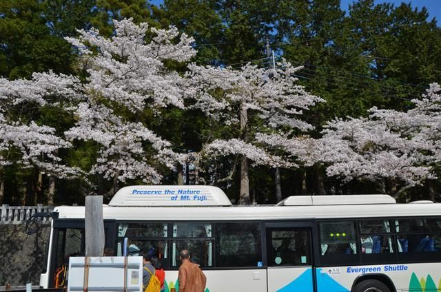伊朗式分手 视频缩略图