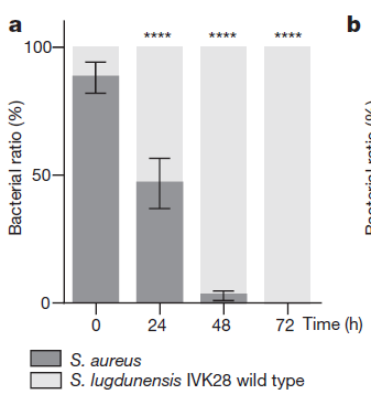 仙魔游踪之百懂仙 视频主图