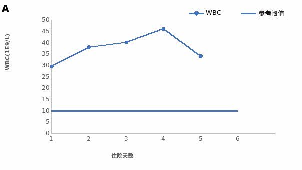 只羡鸳鸯不羡仙