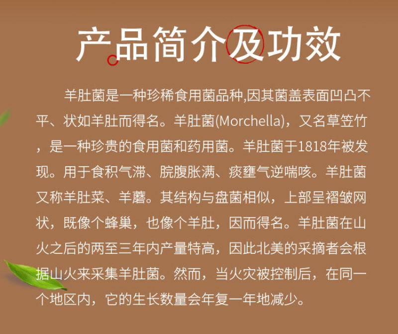 偶然与想象 视频缩略图