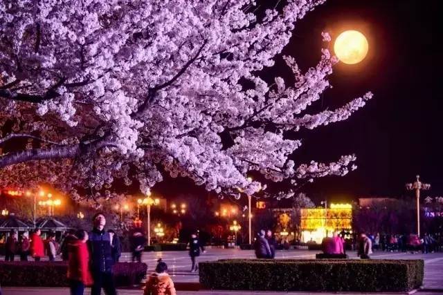 僵尸家族 视频海报