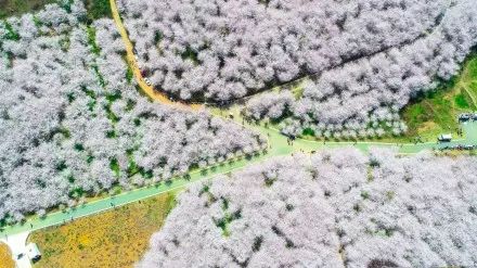 侦探克罗伊特 视频缩略图