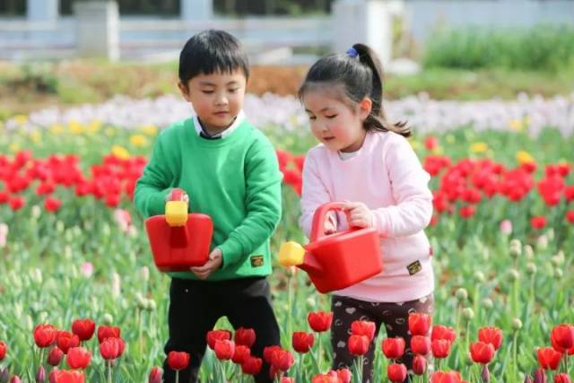 冲浪企鹅 视频缩略图