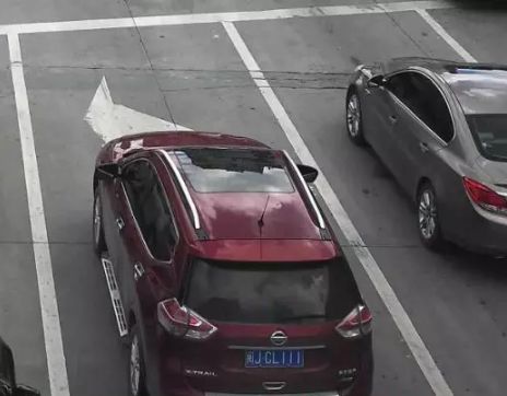 伟大的巴克·霍华德 视频海报