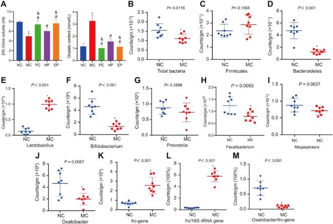 伪行者 视频缩略图