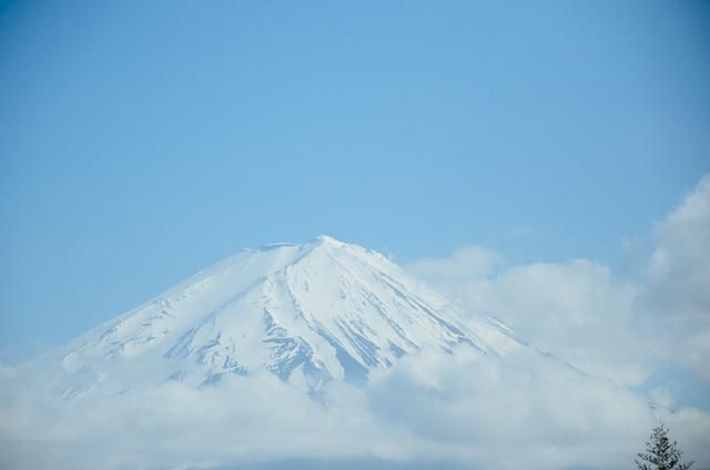 变鬼3.2 视频缩略图