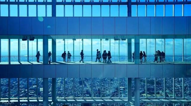 呆瓜兄弟 视频海报