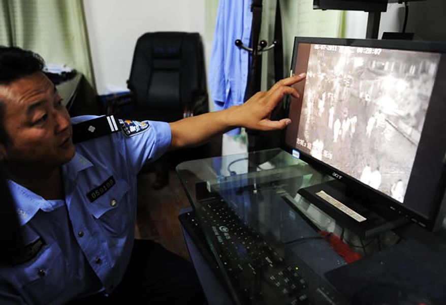 伊丽莎 施莱辛 不同的动物 视频海报