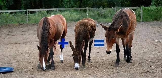 会痛的十七岁 视频缩略图