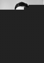 吉诺密欧与朱丽叶 视频缩略图