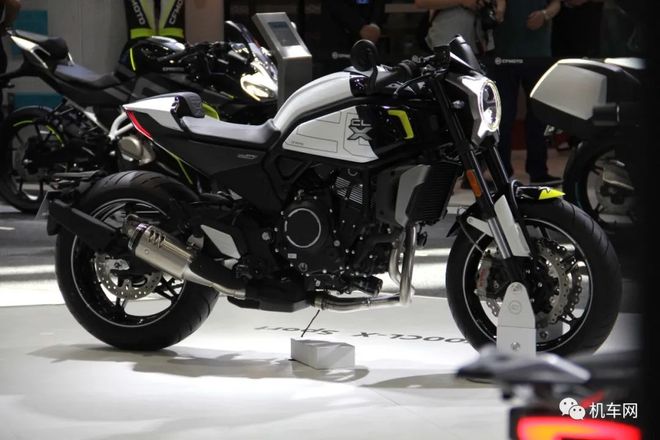 变种狂蜥 视频缩略图