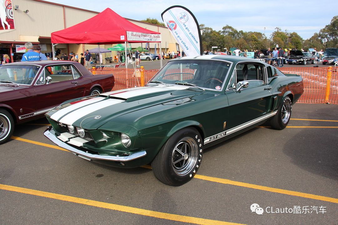 仙书奇谭 视频缩略图