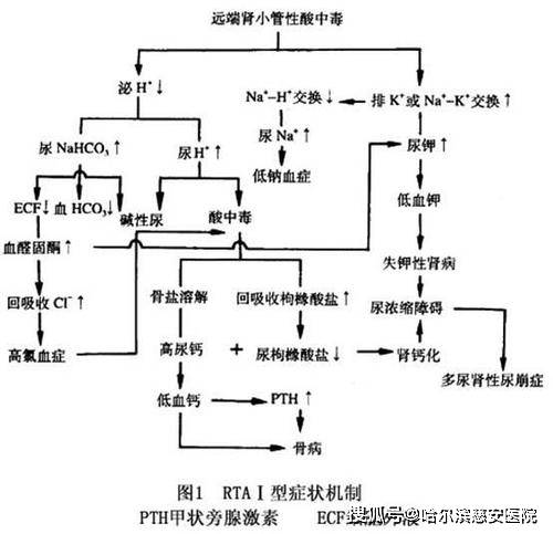 哥斯拉X摩斯拉X机械哥斯拉：东京 视频主图