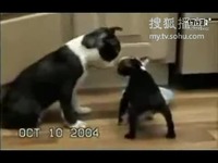 复仇者联盟4：终局之战（国语版） 视频缩略图