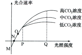 国道29号 视频缩略图