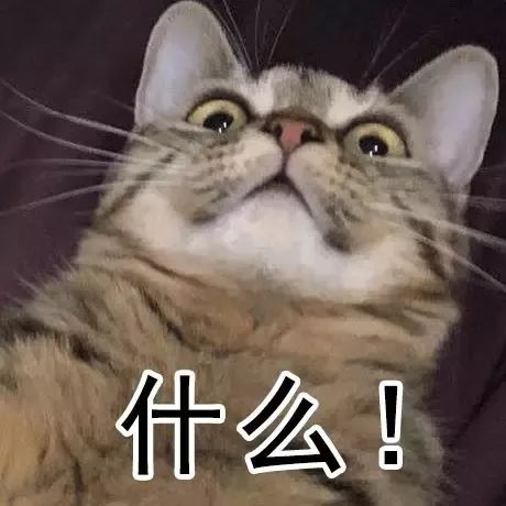 减法人生 视频海报