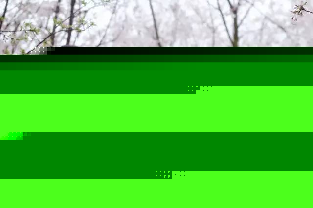 围墙之内 视频缩略图