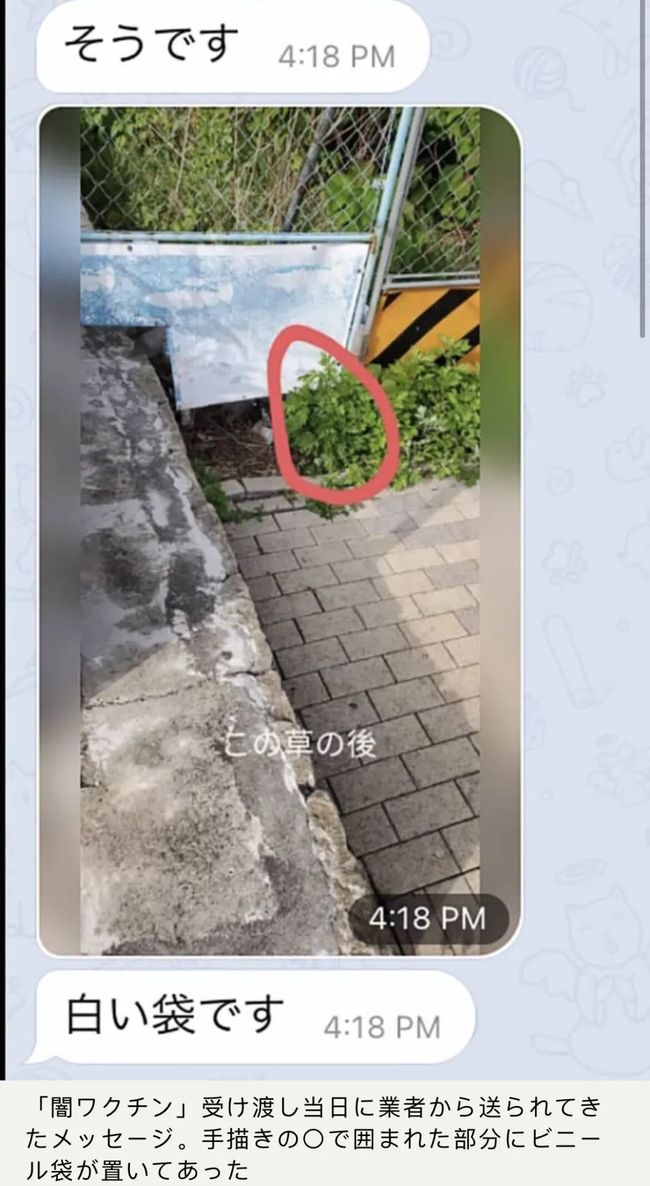 佩剑将军 视频缩略图