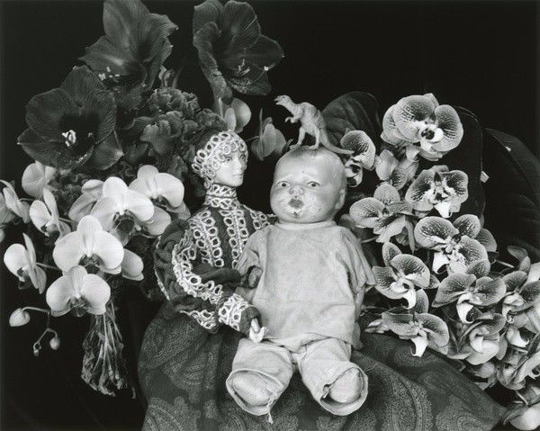 大人物拿破仑 视频缩略图