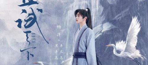 偶像先生 视频海报