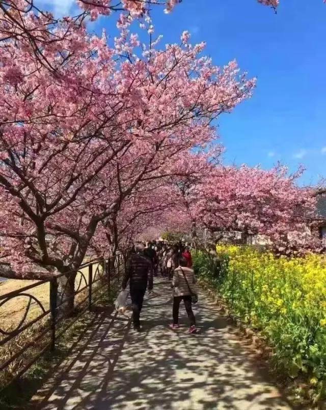 余笙是你 视频缩略图