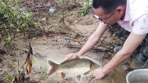 偷窥者 视频缩略图