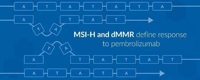 你遗落的蓝天 视频海报