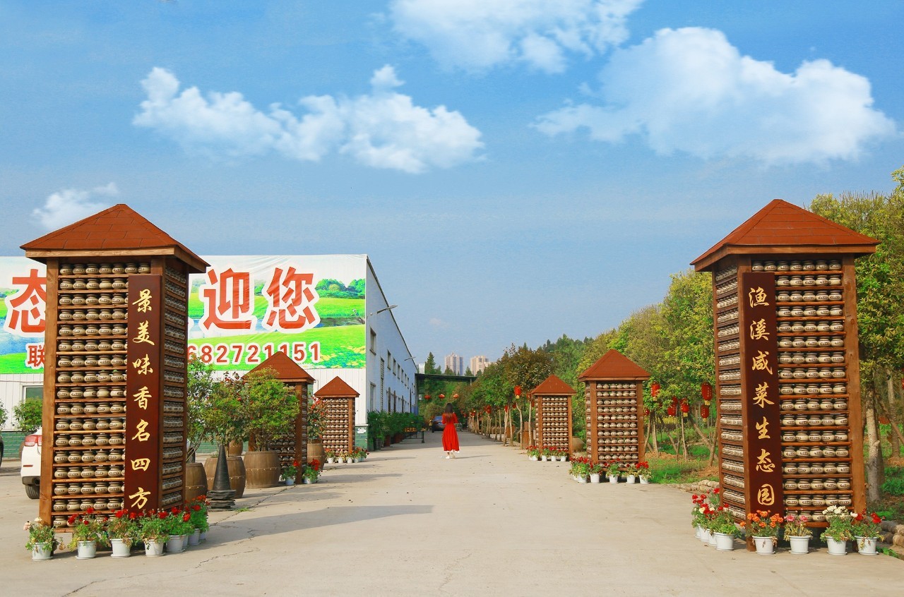 仙书奇谭 视频缩略图