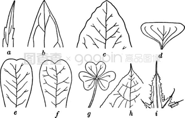 兄弟之义字当头 视频缩略图