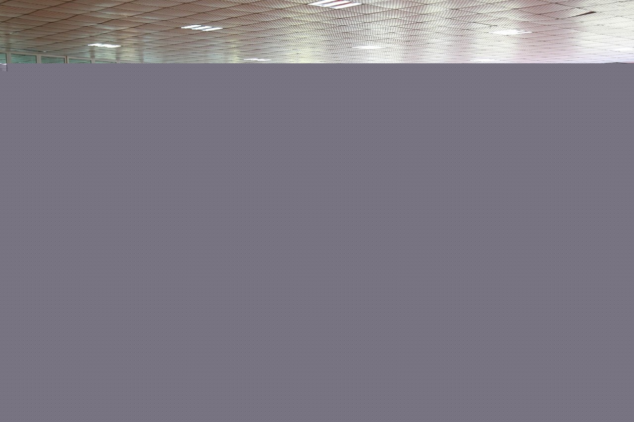 你好倾城 视频缩略图