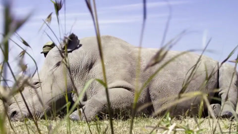 地下尖兵 视频主图