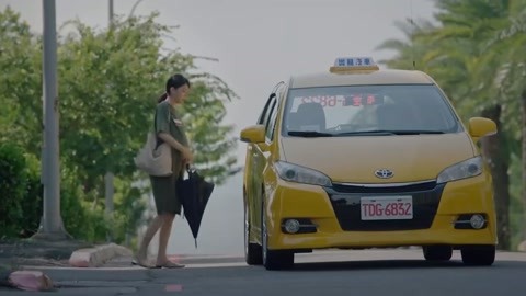 偷龙转凤 视频海报