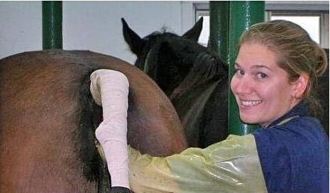 僵尸复活 视频海报