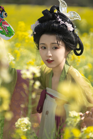 凡人烦恼 视频海报