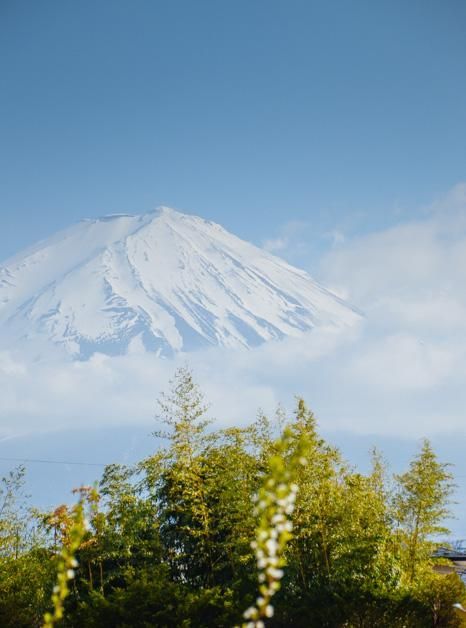 伊娃 视频缩略图