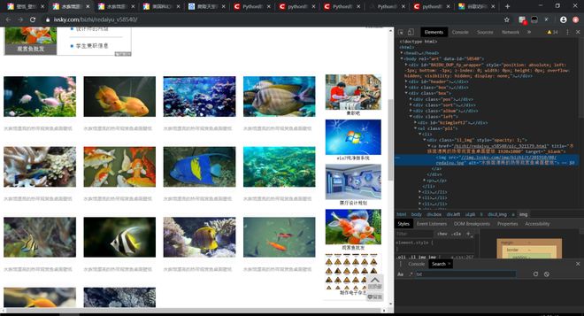 佳人有约 视频主图
