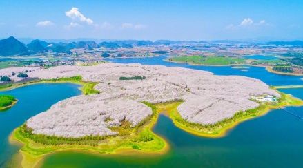 僵尸归来 视频主图