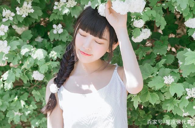 偷家派对 视频缩略图