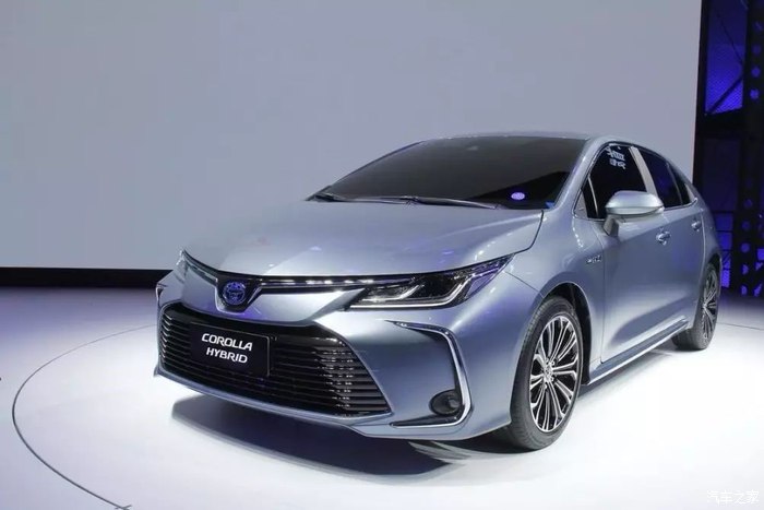 圆环行动 视频缩略图