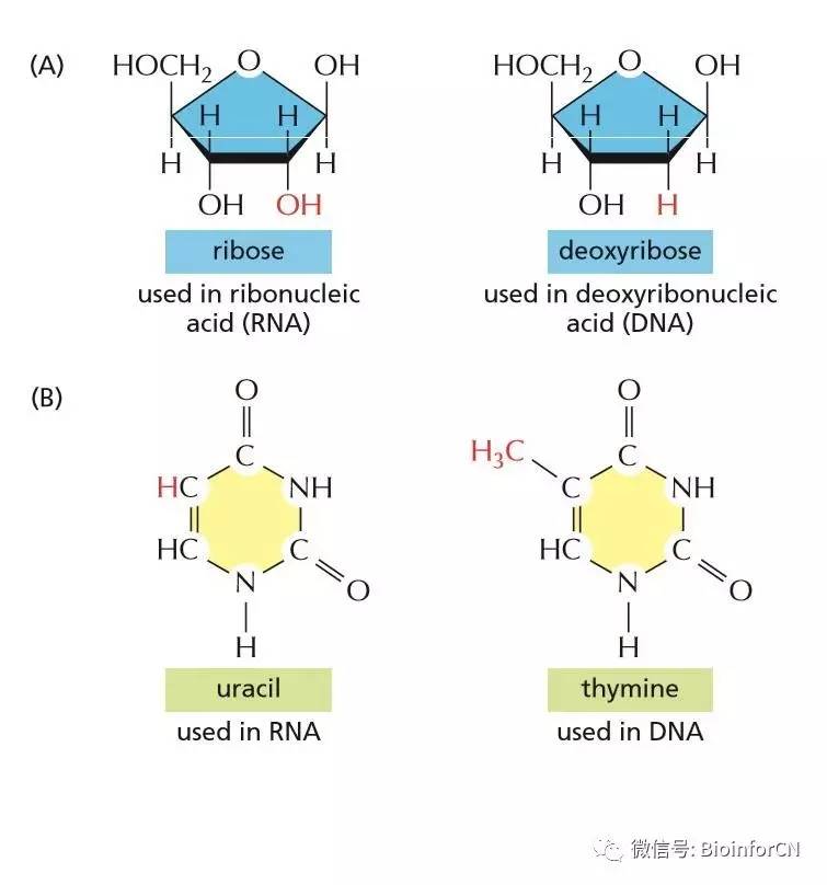 假如没有你 视频缩略图
