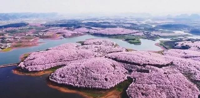 坠入 视频缩略图