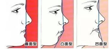 冬荫功2：拳霸天下（原声版） 视频缩略图