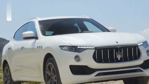 你好！梅芳草 视频海报