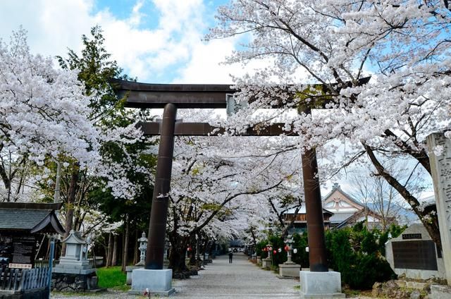 你情我愿 你情我願 视频海报