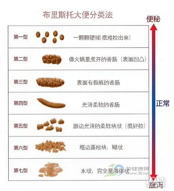 夏夜骑士 视频缩略图
