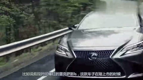 伪造者 视频缩略图